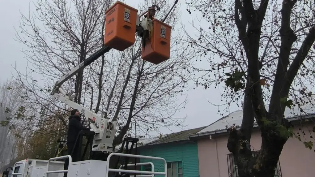 Plan invierno 2026: Poda en Los Ángeles para evitar emergencias, Municipalidad de Los Ángeles 