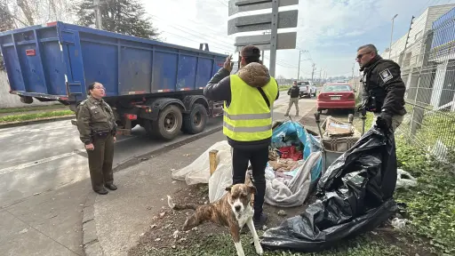 Los Ángeles suma 411 operativos para retirar rucos y recuperar espacios públicos
