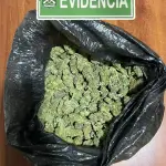 Droga incautada por personal de la Patrulla Foco en Los Ángeles, Cedida