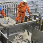 Lanzamiento del Cupón de Pesca Artesanal: beneficio estatal para pescadores, Internet 
