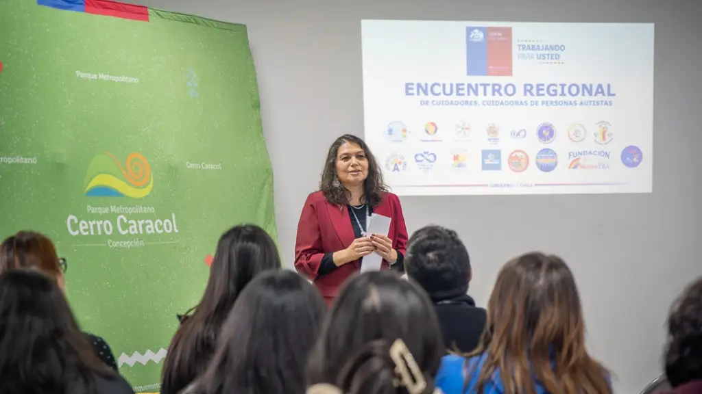 Más de 1.200 funcionarios capacitados en atención del TEA en Biobío, cedida