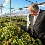 El ministro de Agricultura, Jaime Campos, en dependencias del vivero Carlos Douglas en la comuna de Yumbel., gentileza
