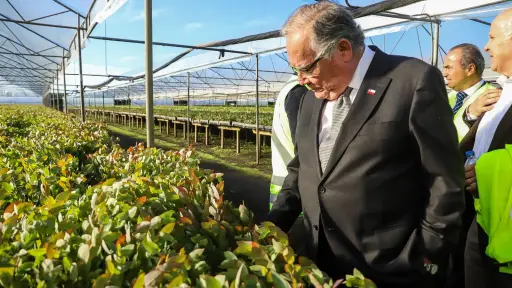 Jaime Campos, ministro de Agricultura: La actividad forestal ha sido satanizada en los últimos años