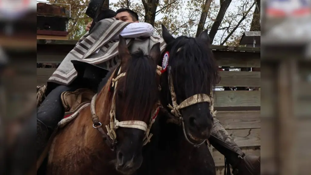 El rodeo es familia: la historia de Francisco Vidal, joven corralero de Santa Bárbara, cedida
