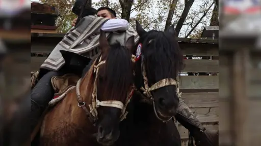 El rodeo es familia: la historia de Francisco Vidal, joven corralero de Santa Bárbara