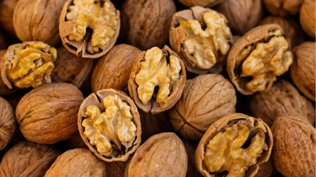 Un futuro Acuerdo de Asociación Económica Integral busca reducir los altos aranceles que rigen en la actualidad, que alcanzan hasta un 100% de gravamen en productos como las nueces, para así potenciar la presencia de la industria agroindustrial chilena.