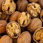 Un futuro Acuerdo de Asociación Económica Integral busca reducir los altos aranceles que rigen en la actualidad, que alcanzan hasta un 100% de gravamen en productos como las nueces, para así potenciar la presencia de la industria agroindustrial chilena.