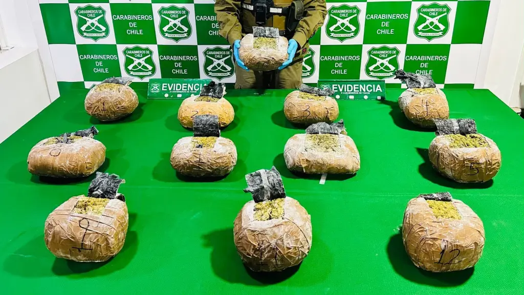 El operativo fue liderado por el OS7 Los Ángeles, Carabineros de Chile
