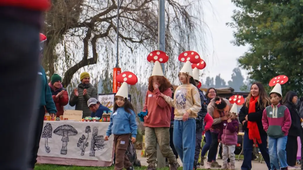 Un espacio donde confluyeran la ciencia, la educación, la memoria y los saberes locales en torno al Reino Fungi y al territorio de Mulchén,, Cedida