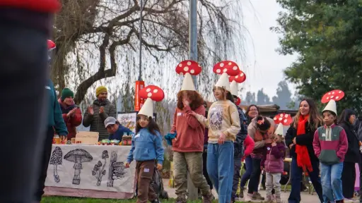 Primer Festival Fungamental reúne a la comunidad en Mulchén para celebrar y proteger los ecosistemas nativos