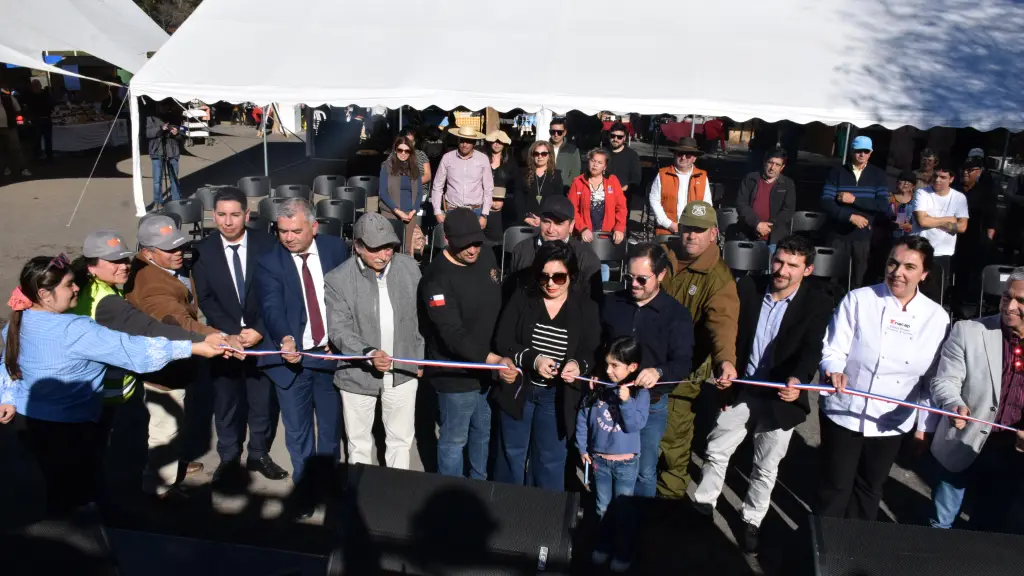 Primer Festival Gastronómico de la Castaña en Quilleco | Diario La Tribuna