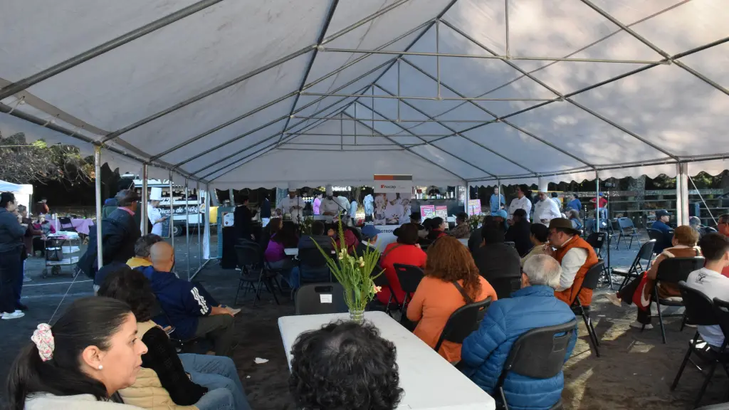 Primer Festival Gastronómico de la Castaña en Quilleco | Diario La Tribuna
