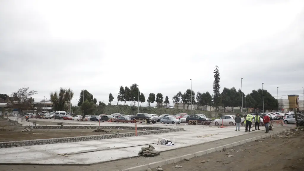 Arboterum, Municipalidad de Los Ángeles