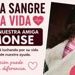 Familiares y cercanos de María Monserrat Quevedo González difundieron una campaña para reunir donantes de cualquier grupo sanguíneo, mientras la joven permanece internada en estado crítico., Cedida