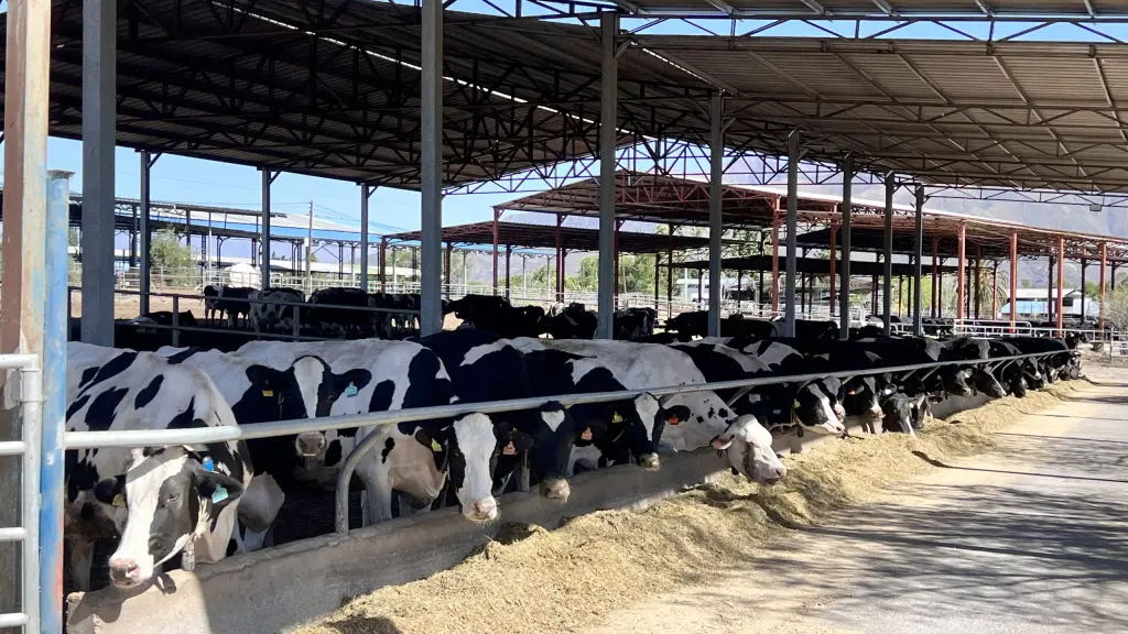 El gremio remarcó la importancia de otorgar certeza jurídica y tributaria a las pequeñas y medianas empresas agrícolas para asegurar la inversión en el campo.