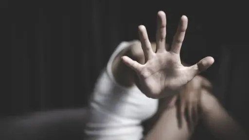 Violencia intrafamiliar: proyecto endurece restricciones para quienes tengan armas de fuego
