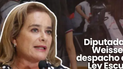 Diputada Flor Weisse tras despacho de la Ley Escuelas Protegidas: Estamos recuperando el derecho a una educación segura para todos los estudiantes de Chile