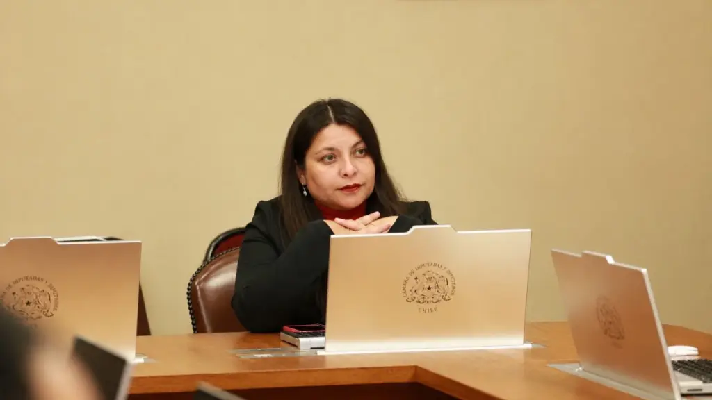 La parlamentaria propuso avanzar hacia sistemas que permitan validar de manera efectiva la identidad y edad de quien realiza la compra.
