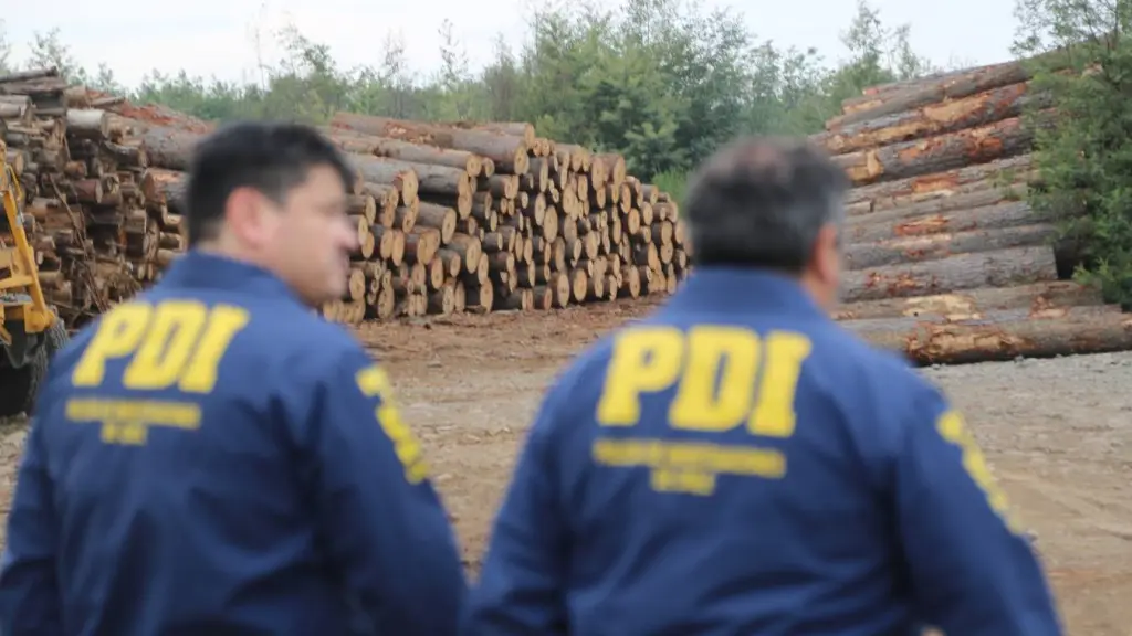 Se incautaron 40 vehículos, armas, dinero en efectivo. Avalúo supera los  mil millones., @NublePdi