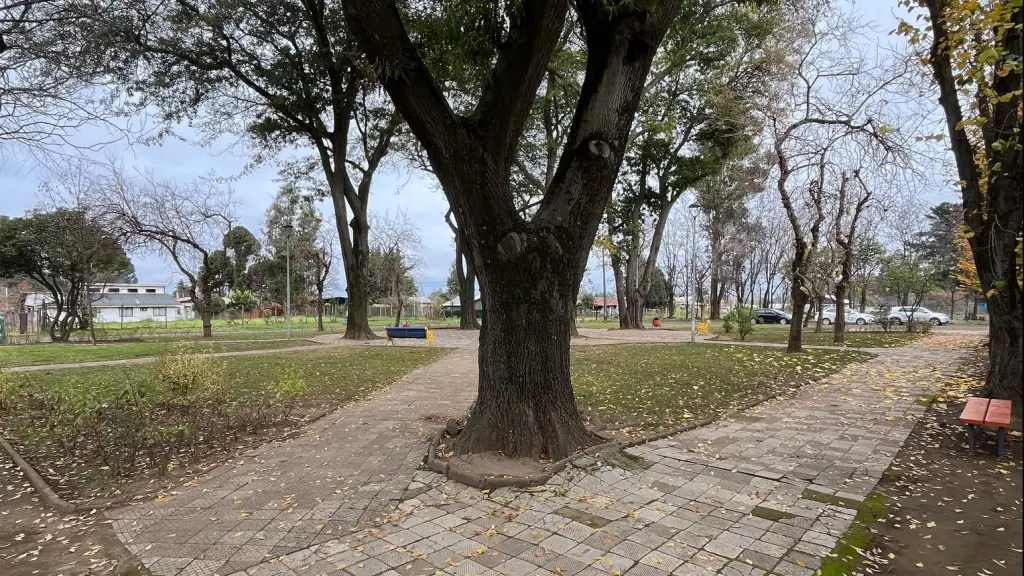 Plaza de San Carlos de Purén, Municipalidad de Los Ángeles