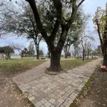 Plaza de San Carlos de Purén, Municipalidad de Los Ángeles