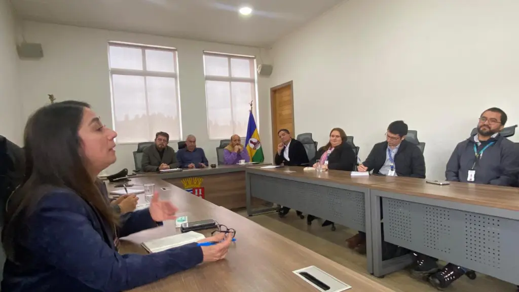 Mesa de Seguridad en la comuna de Mulchén, Servicio de Salud Biobío