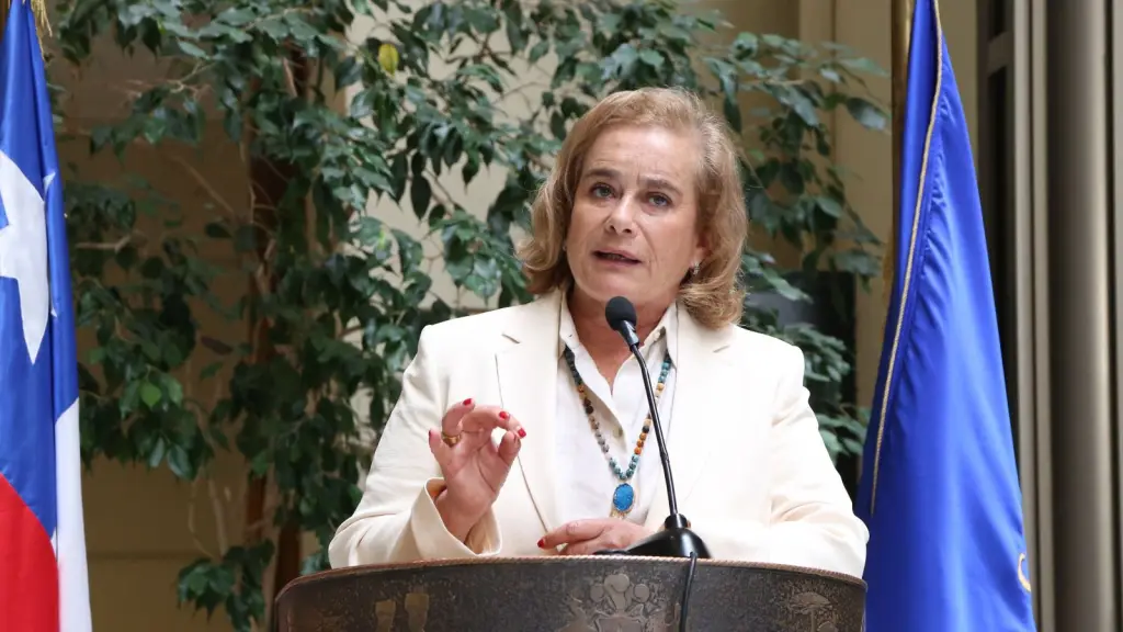 La parlamentaria valoró positivamente la primera Cuenta Pública del Presidente José Antonio Kast.
