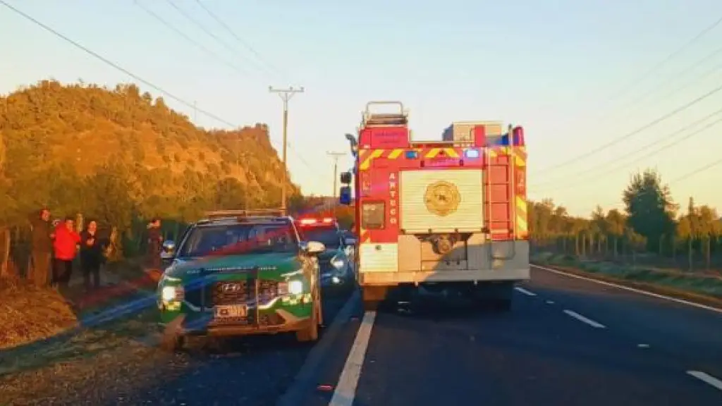 Mujer de 50 años murió atropellada en ruta que conecta Los Ángeles y Antuco, @PrimeraAntuco