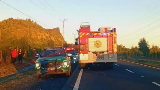 Adulta mayor de 73 años murió atropellada en Quilleco