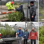 La entrega se realizó en el vivero Duqueco de Los Ángeles y benefició a diez municipios del Biobío., Fredy Muñoz | La Tribuna