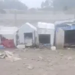 \'Para que sus casitas estén más bonitas\' Agrupación realiza llamado para el cuidado de perritos comunitarios de Laguna Verde, Orejitas Solidarias