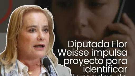 Diputada Flor Weisse impulsa proyecto para identificar llamadas de cobranza mediante prefijos especiales