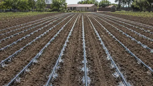 Contraloría detecta pagos improcedentes por más de \\$1.700 millones en la Comisión Nacional de Riego