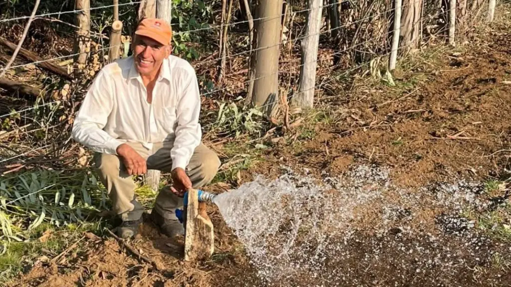 Sin bombas, ni electricidad: pequeño agricultor de Loncopangue riega sus praderas aprovechando la fuerza de la gravedad, cedida