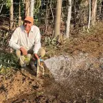 Sin bombas, ni electricidad: pequeño agricultor de Loncopangue riega sus praderas aprovechando la fuerza de la gravedad, cedida