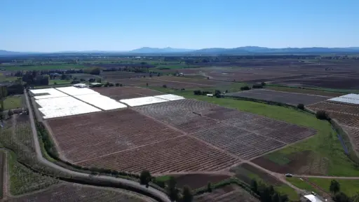 Robo de insumos agrícolas y mercado ilegal en expansión afectan seguridad rural en Biobío