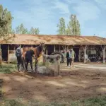 Contexto, Club Ecuestre