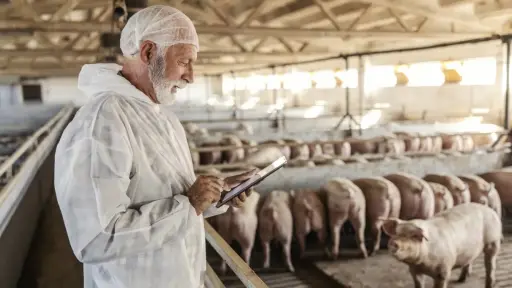 ChileCarne analiza desafíos sanitarios y exportación de carnes en Asamblea 2026