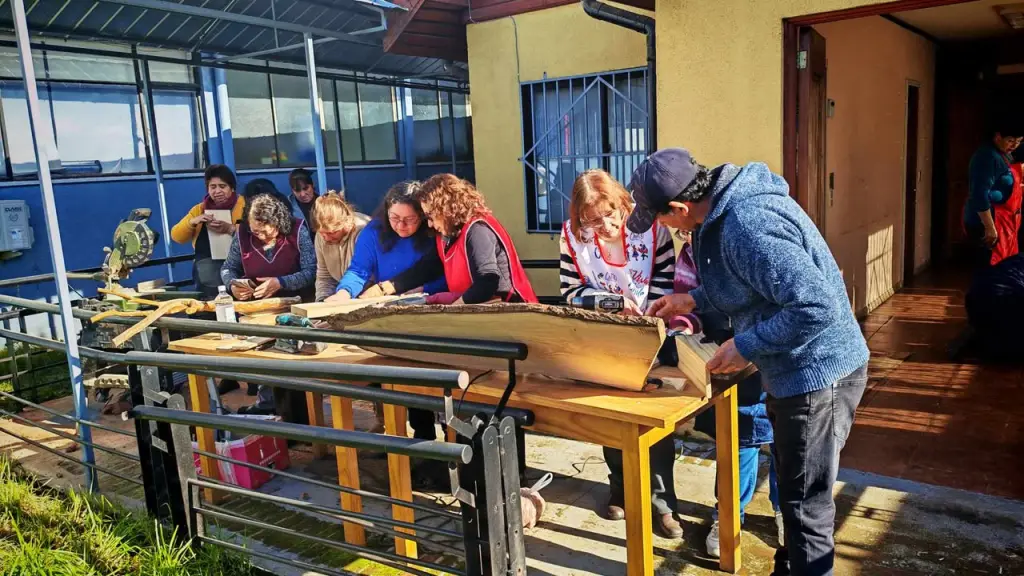 Hospital de Mulchén inicia taller de madera para dirigentes y vecinos, Cedida