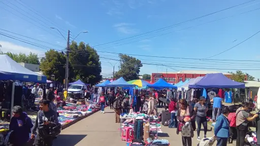 Había que ordenar el tema: afirmó concejal por feria Santiago Bueras mientras dirigenta pide revisar cupos