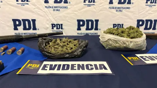Incautan armas, municiones y droga tras investigación por delitos violentos en Ercilla