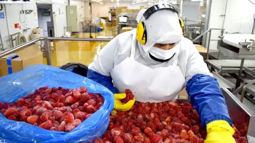 Agroindustria alerta por arancel de EE.UU. que amenaza dinamismo exportador chileno