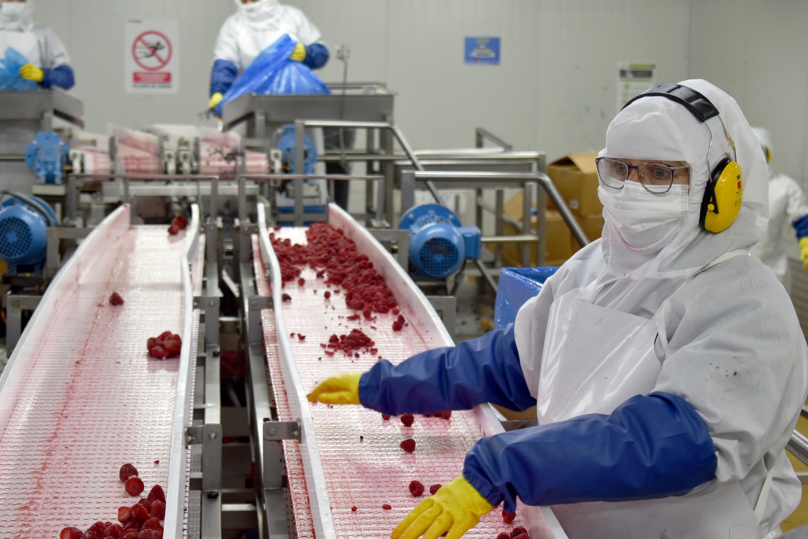 La agroindustria ha advertido que el gravamen golpeará la competitividad exportadora frente a mercados como Canadá y México, que cuentan con gran ventaja. / Chilealimentos