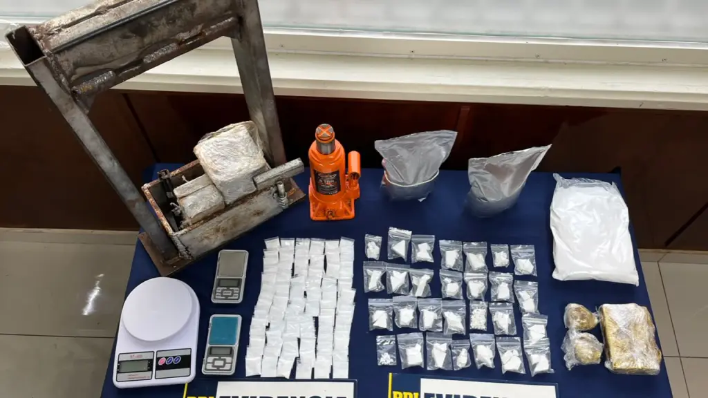 Diversas especies fueron incautadas por la PDI, PDI Araucanía