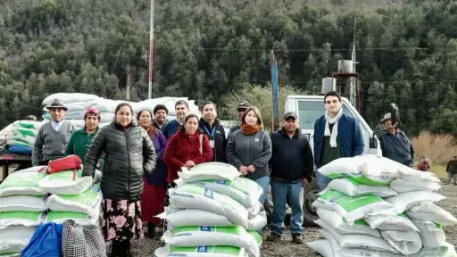 Entregan insumos agrícolas a 50 productores de Cauñicú en Alto Biobío
