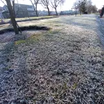 La temperatura podría llegar a tres o cuatro grados bajo cero., La Tribuna