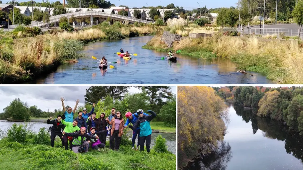 El curso de agua atraviesa distintos sectores de Los Ángeles y alberga especies de flora y fauna presentes en la cuenca del Biobío., Cedidas