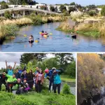 El curso de agua atraviesa distintos sectores de Los Ángeles y alberga especies de flora y fauna presentes en la cuenca del Biobío., Cedidas