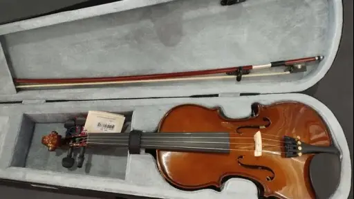 De violines a artículos para el hogar: Aduanas abre subasta con cientos de productos desde \\$89 mil