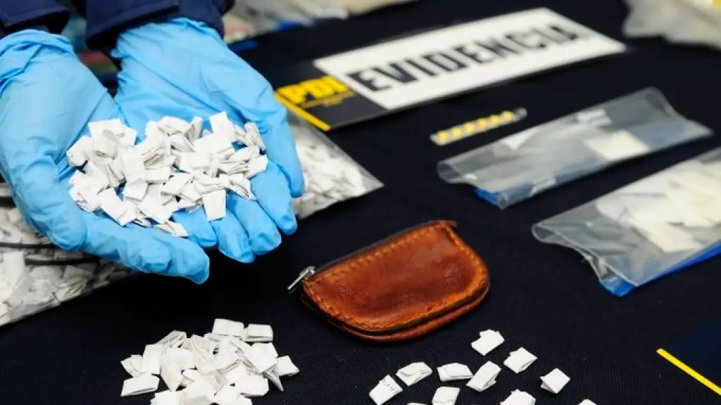 Más de 3.500 dosis de droga fueron incautadas por detectives de la PDI / Contexto, PDI Biobío